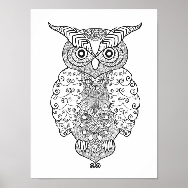 Affiches Doodle Owl 2 (Devant)