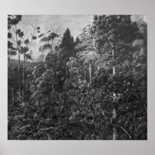 Affiches Dossier : Alfred Sharpe - Un eve d'or, Waiheke Isl
