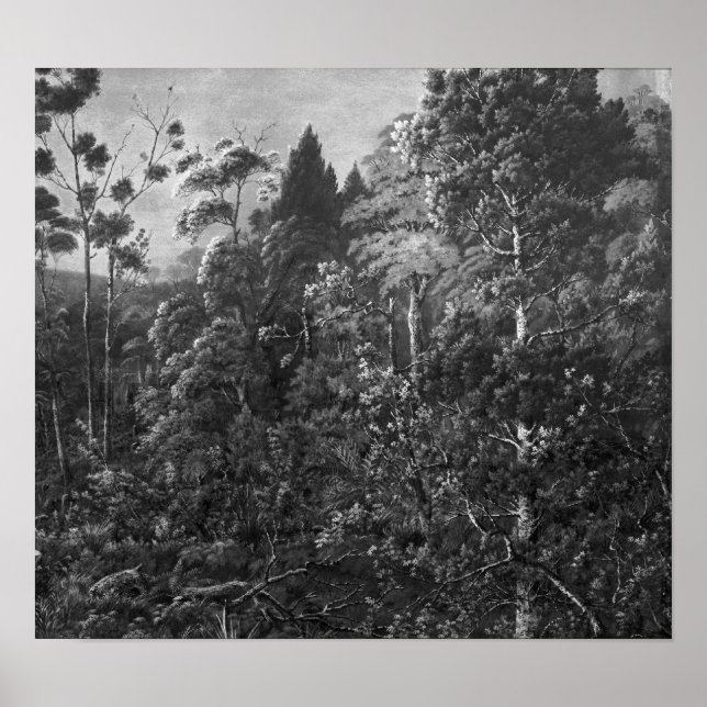 Affiches Dossier : Alfred Sharpe - Un eve d'or, Waiheke Isl (Devant)