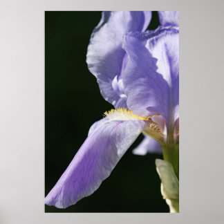 Affiches Doux Et Délicat