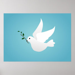 Affiches Dove