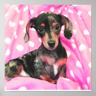 Affiches doxie rose