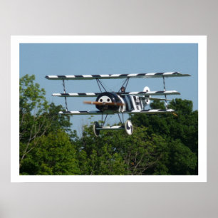 Affiches DR.1 239/17 En Finale !