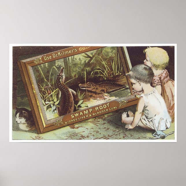 Affiches Dr Kilmers Racine du marais (Devant)