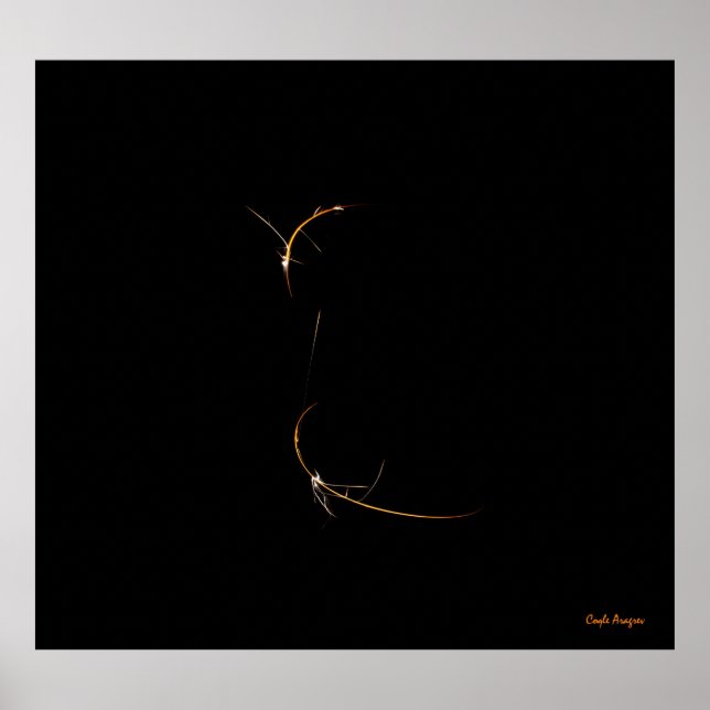 Affiches Dragon dormant (Devant)