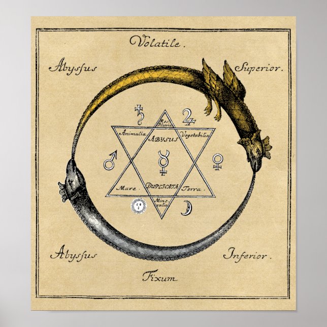 Affiches Dragon et serpent Ouroboros Mandala (Devant)