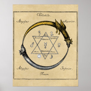 Affiches Dragon et serpent ouroboros mandala