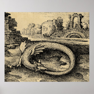 Affiches Dragon rustique Ouroboros