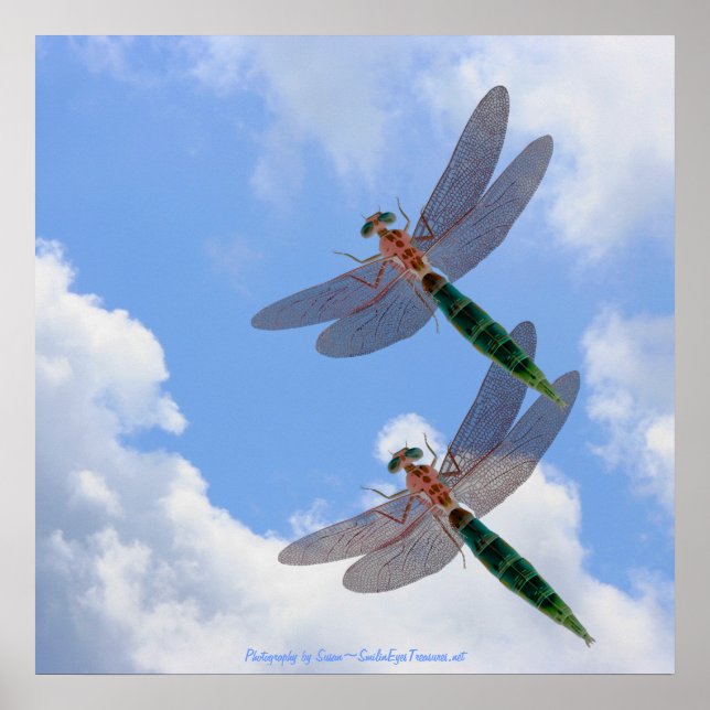 Affiches Dragonflies Blue Sky Fluffy Nuages Nature Imprimer (Devant)