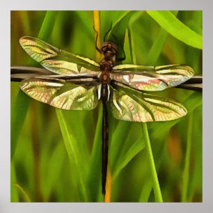 Affiches Dragonfly Artistique En Brown Et Jaune Sur Vert