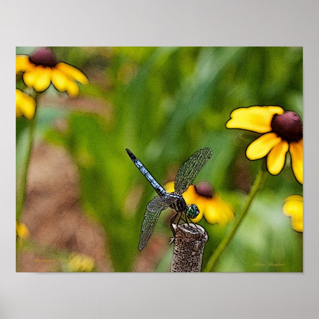 Affiches Dragonfly et Daisies (Devant)