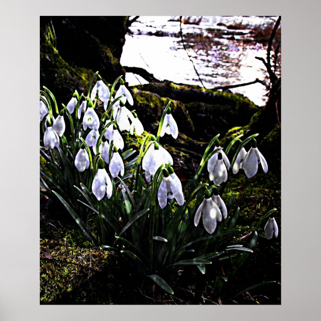 Affiches Dragons de neige par River Hafren Imprimer (Devant)