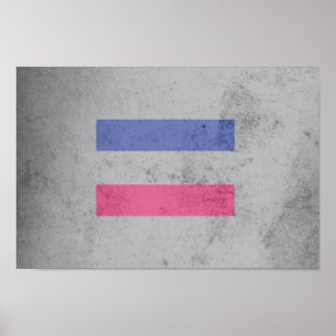 AFFICHES DRAPEAU DE FIERTÉ ANDROGYNE