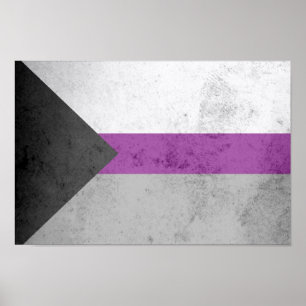 AFFICHES DRAPEAU DE FIERTÉ DÉSISEXUEL