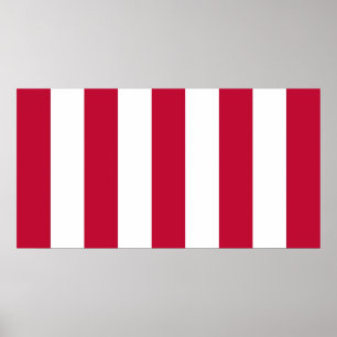 Affiches Drapeau de la bande verticale des fils de la liber