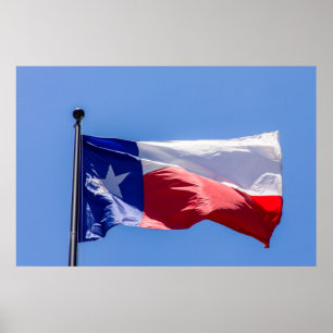 Affiches Drapeau du Texas