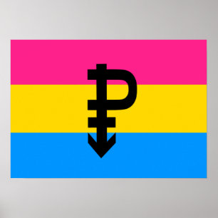 Affiches DRAPEAU PANSEXUEL ORIGINAL -.png