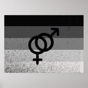 Affiches Drapeau STRAIGHT ORIGINAL avec symbole -.png