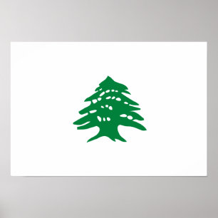 Affiches Drapeau vert d'arbre de cèdre du Liban