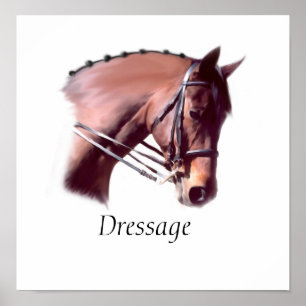 Affiches Dressage