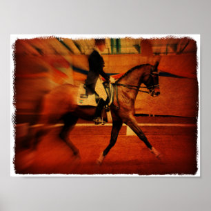 Affiches Dressage
