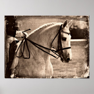 Affiches Dressage Horse Grunge