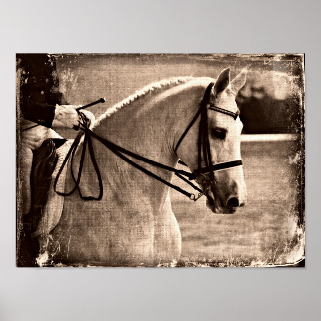 Affiches Dressage Horse Grunge (Devant)