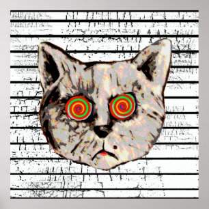 Affiches drôles yeux en spirale de chat fou