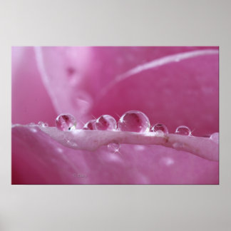 Affiches Droplets