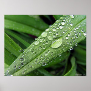 Affiches Droplets D'Eau.