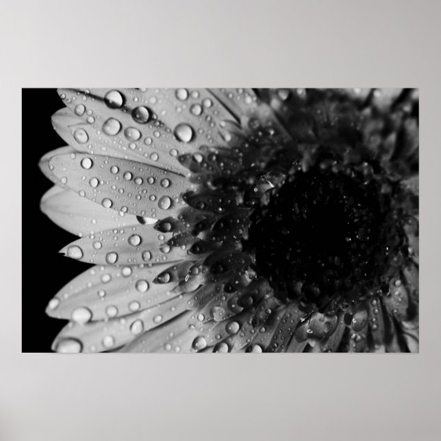 Affiches Droplets marguerriers (noir et blanc) (Devant)