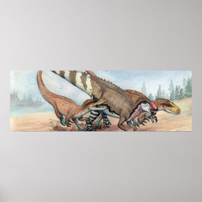 Affiches Dryptosaurus et Hadrosaurus (Devant)