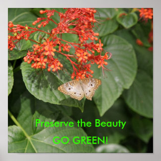 Affiches DSC00433, Préserver la Beauté, DEVENEZ ÉCOLO !