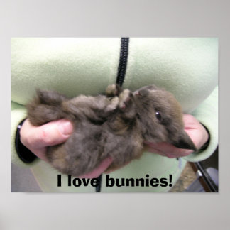 Affiches DSCN0356, j'adore les lapins !