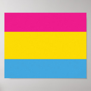 Affiches du drapeau transexuel