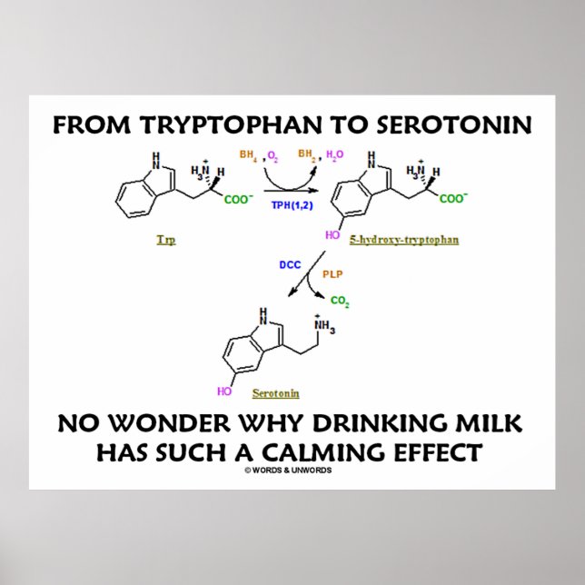 Affiches Du Tryptophane À La Serotonine (Humour De Chimie) (Devant)