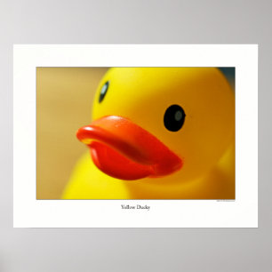Affiches Ducky jaune