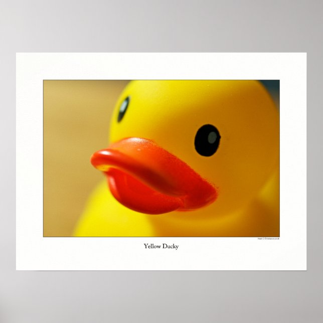 Affiches Ducky jaune (Devant)