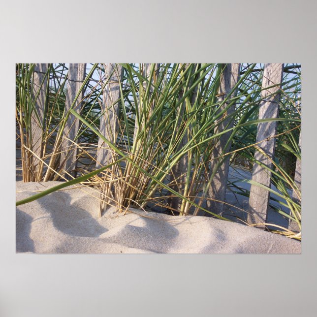 Affiches Dune Grass (Devant)