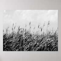 Dune Triptyque III
