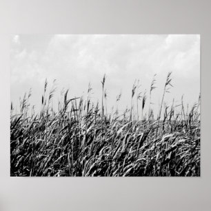 Affiches Dune Triptyque III