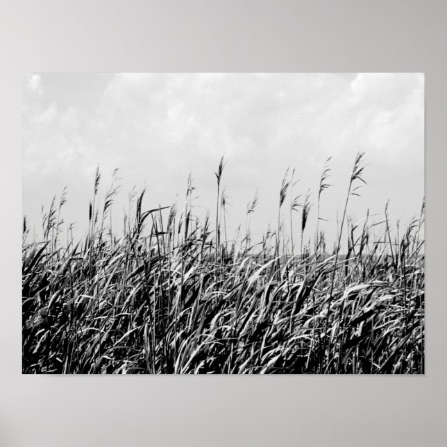 Affiches Dune Triptyque III (Devant)