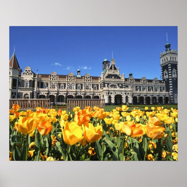 Affiches Dunedin Railway Station (Devant)
