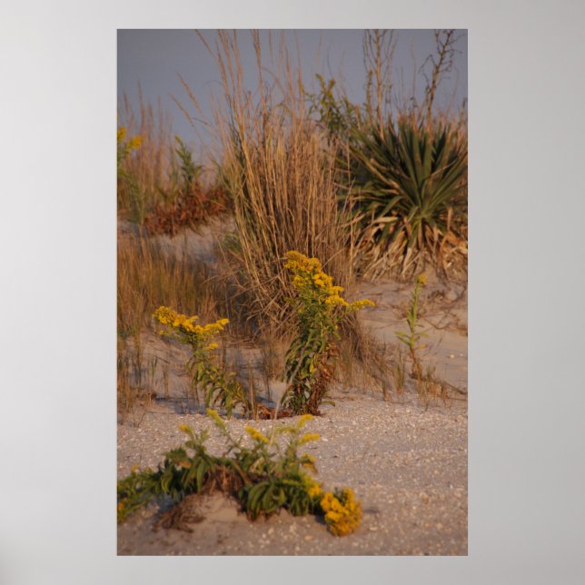 Affiches Dunes (Devant)