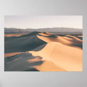 Affiches Dunes de sable de Mesquite dans la vallée de la Mo