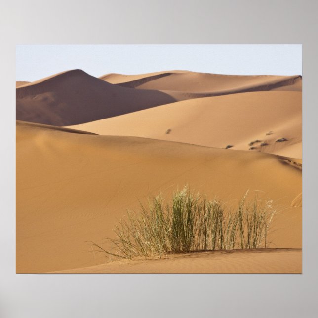 Affiches Dunes de sable, désert du Sahara, Maroc (Devant)