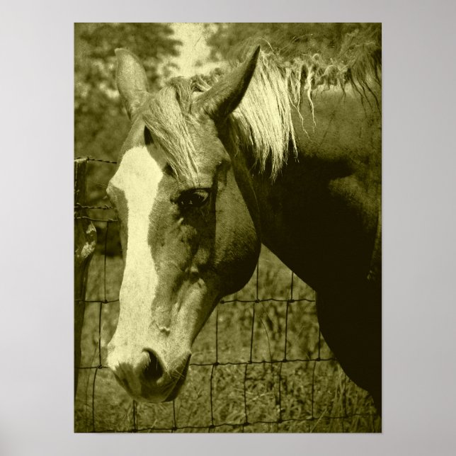 Affiches Dunnit à Sepia Tint (Devant)