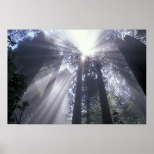 Affiches É.-U., Californie. Del Norte Coast State 2