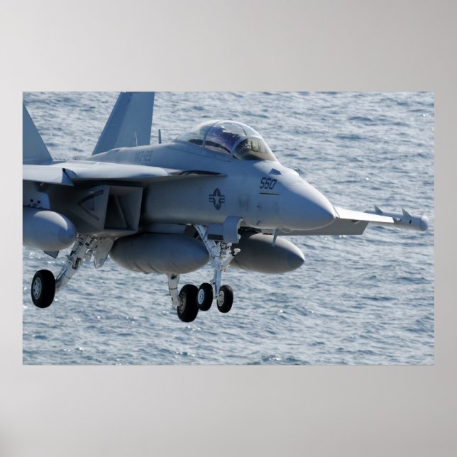 Affiches EA-18G Growler (Devant)