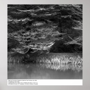 Affiches Eau et arbres près de UC San Francisco, 1966